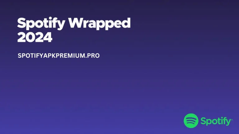 Spotify Wrapped 2024