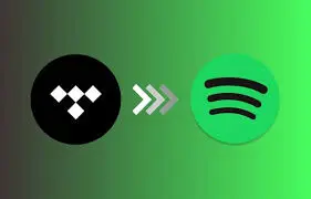 Spotify vs Tidal